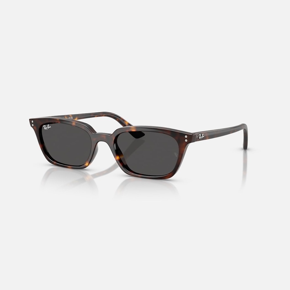 Ray-Ban Zaya Sunglasses